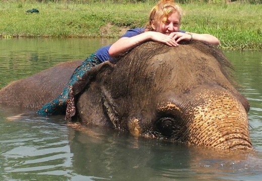 Elephant Volunteer in Chitwan National Park